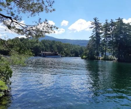 Brush Island Campground