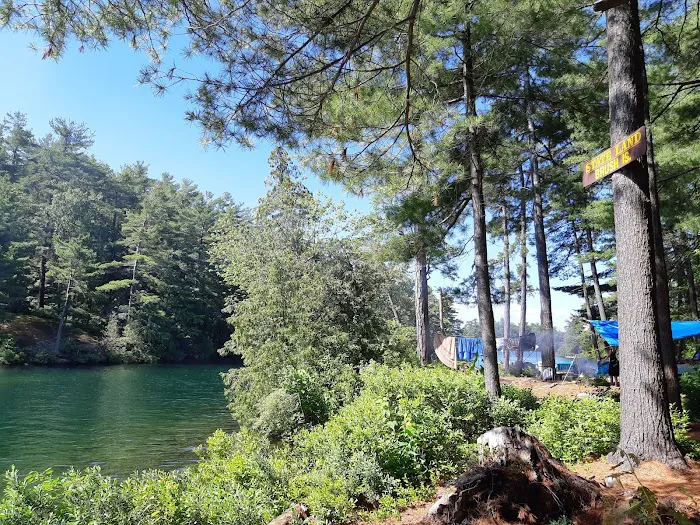 Brush Island Campground Picture 7