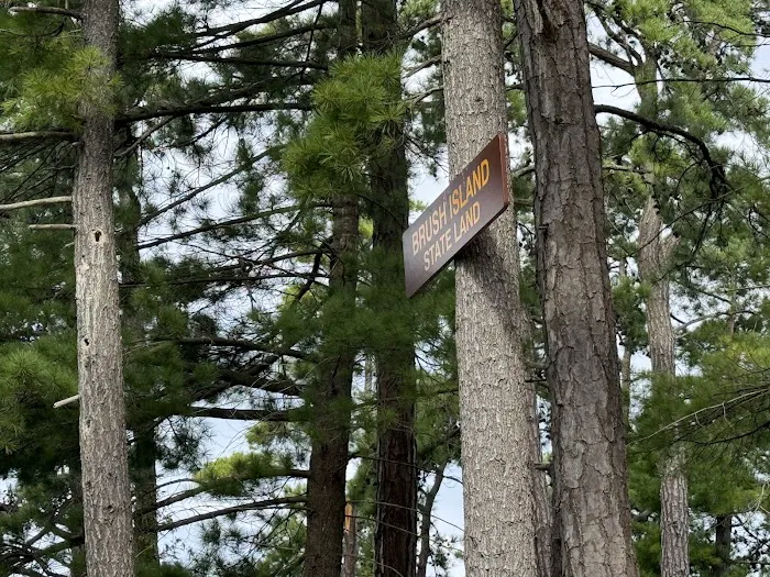 Brush Island Campground Picture 9