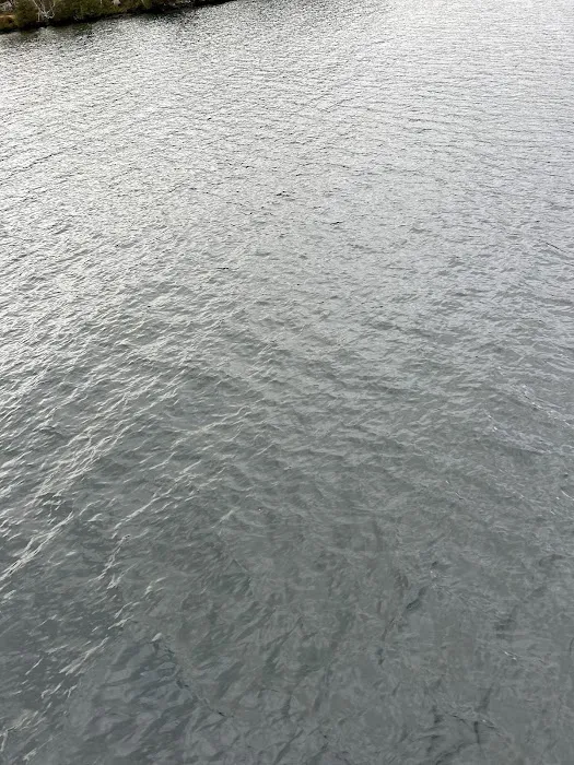 Brush Island Campground Picture 10