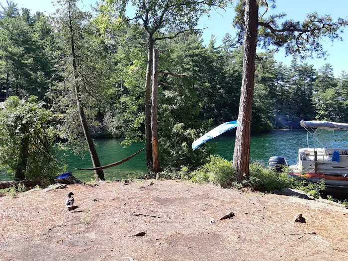 Brush Island Campground Picture 4