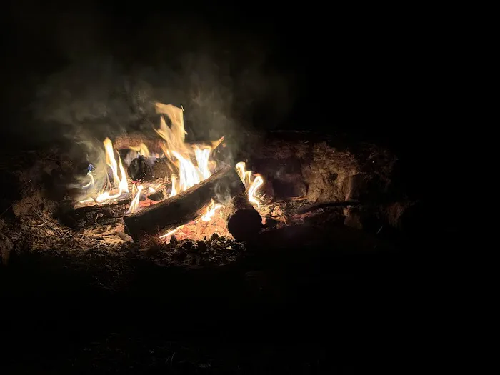 Brush Island Campground Picture 3