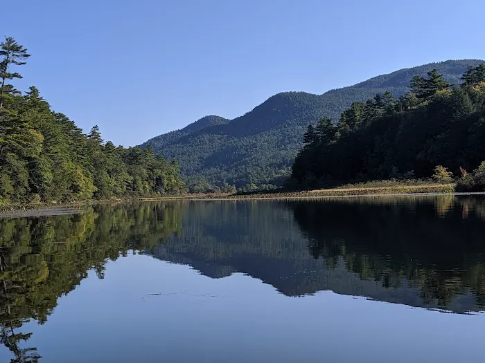 Turtle Island Campground Picture 4