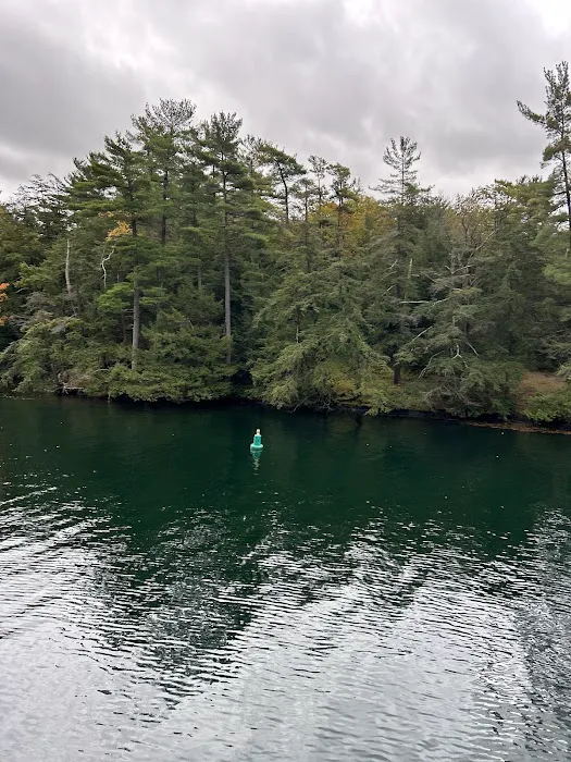 Turtle Island Campground Picture 5