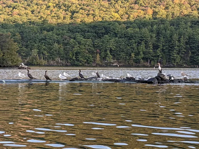 Turtle Island Campground Picture 6