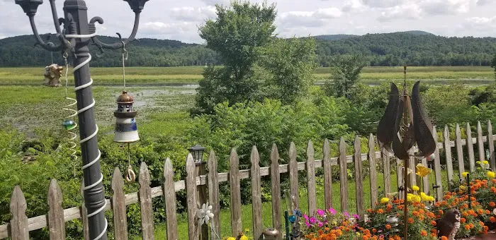 Adirondack Fish Tales Etc. Picture 4