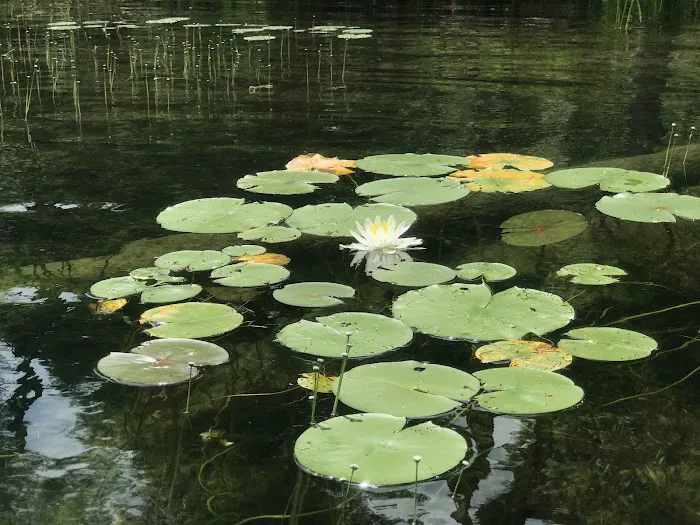 Narrow Island Ranger Station Picture 4