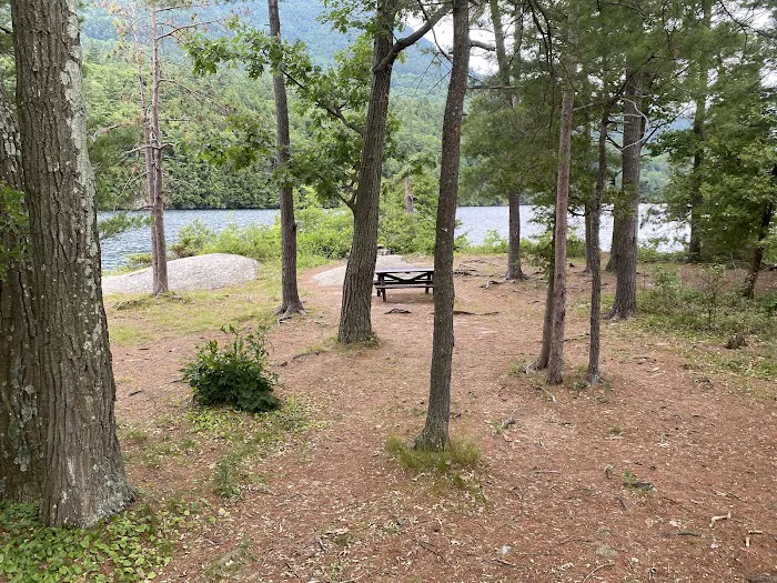 Cooper Island Campground Picture 5