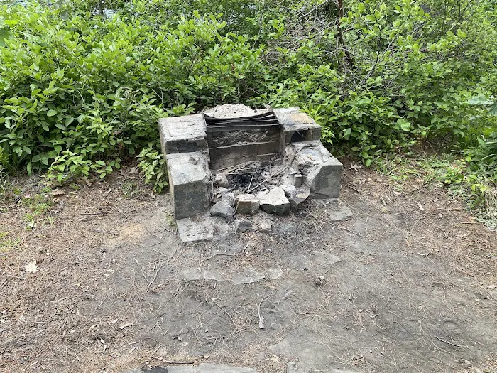 Cooper Island Campground Picture 7