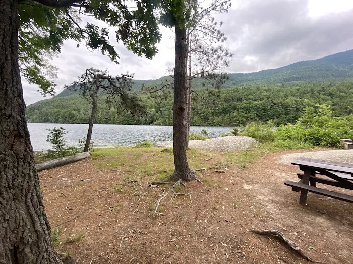 Cooper Island Campground Picture 6