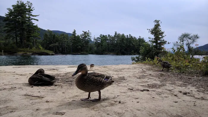 Mother Bunch Island Campgrounds #1-2 Picture 3