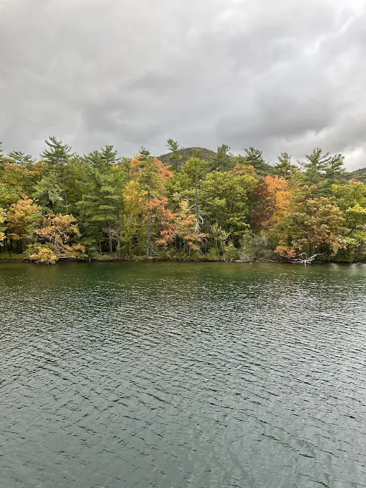 Fox Island Campground #1 Picture 8