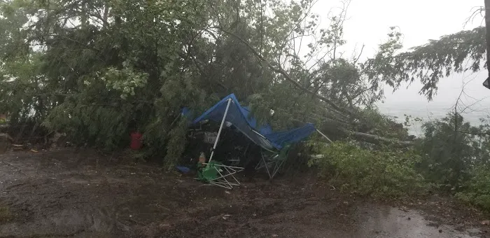 Fox Island Campground #1 Picture 1