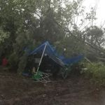 Fox Island Campground #1