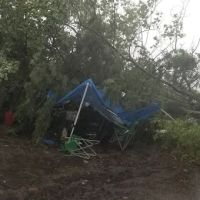 Fox Island Campground #1 ico