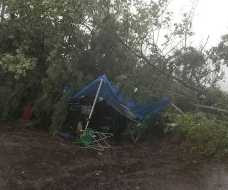 Fox Island Campground #1