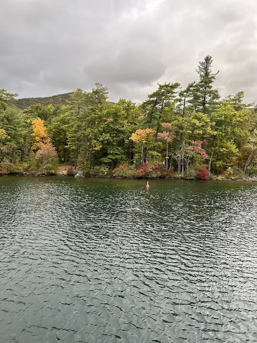 Fork Island Campground Picture 6