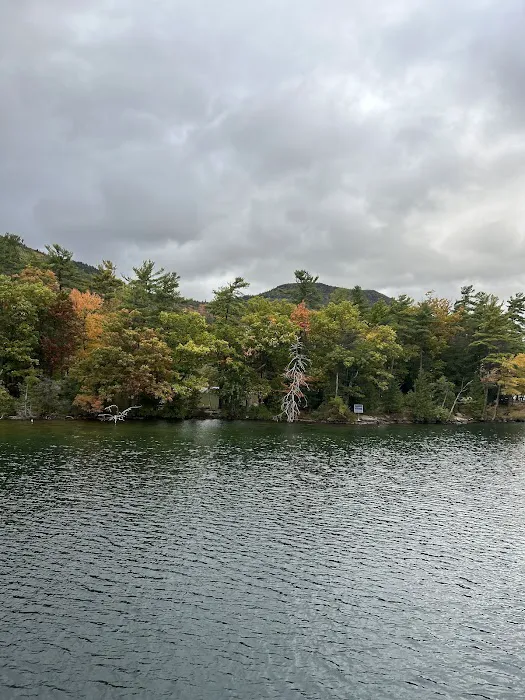 Fork Island Campground Picture 9