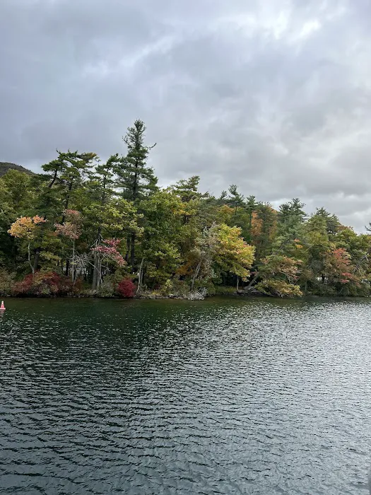 Fork Island Campground Picture 3
