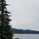 East Dollar Island Campground #1 (dock)