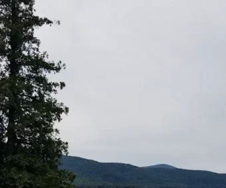 East Dollar Island Campground #1 (dock)