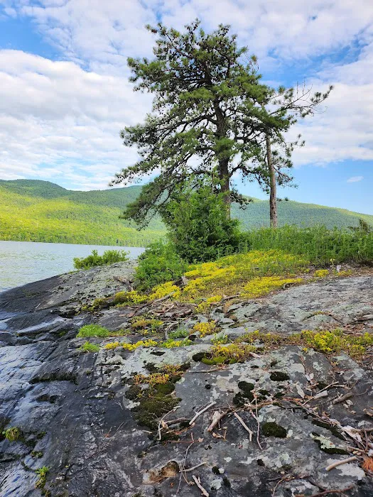 East Dollar Island Campground #1 (dock) Picture 9