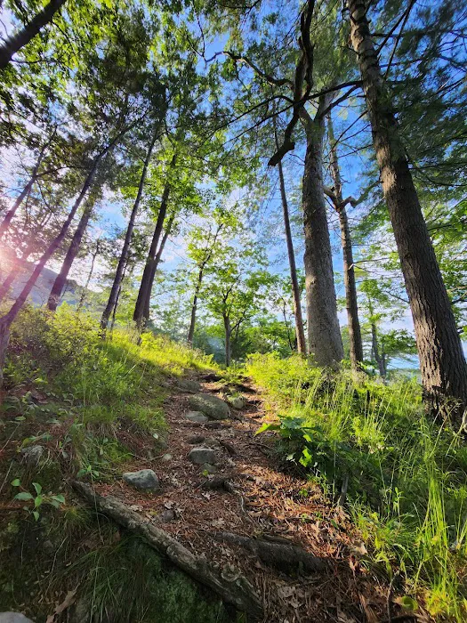 East Dollar Island Campground #1 (dock) Picture 8