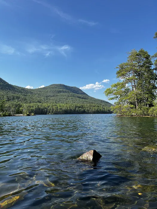 Gourd Island Campground #1 Picture 2