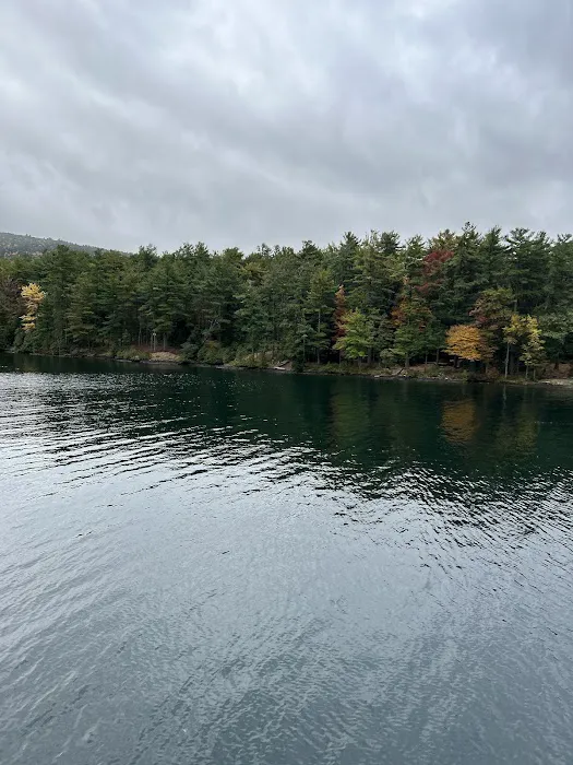 Gourd Island Campground #1 Picture 4