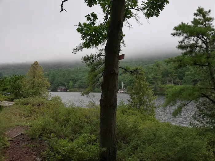Bass Island Campsite 1 Picture 5