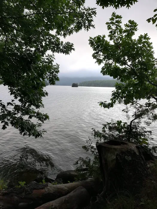 Bass Island Campsite 1 Picture 2