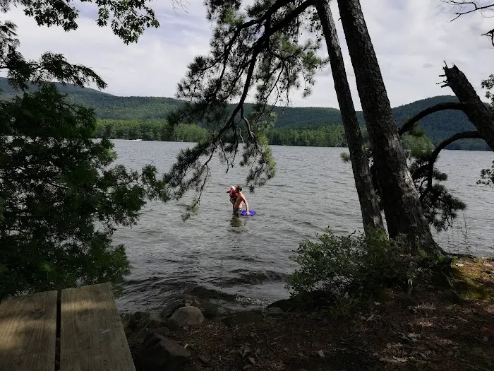 Bass Island Campsite 1 Picture 6