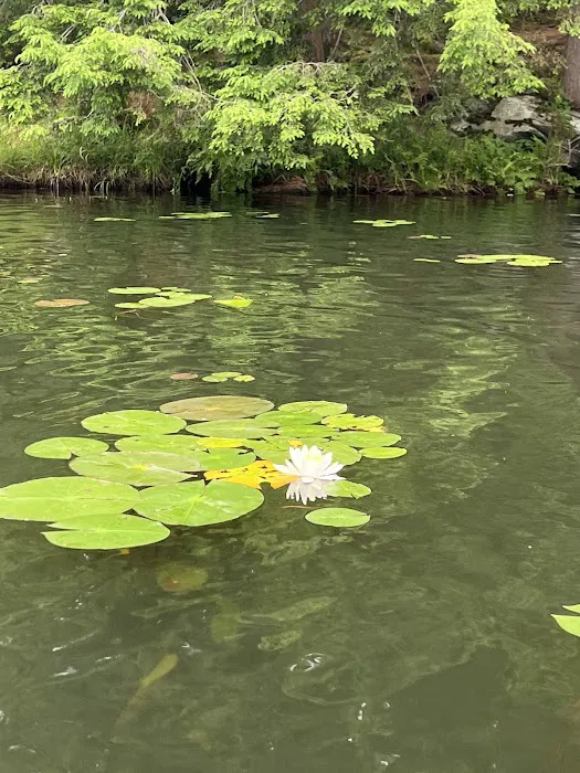 Half Moon Pond State Park Campground Picture 10