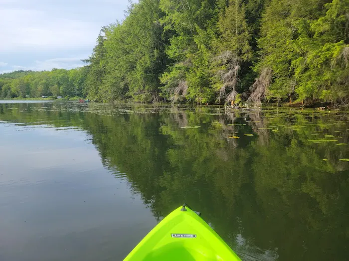 Half Moon Pond State Park Campground Picture 8