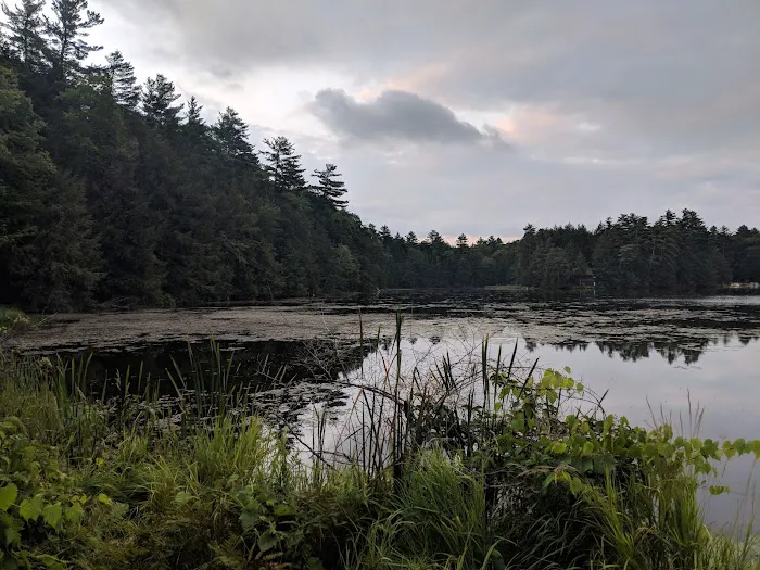 Half Moon Pond State Park Campground Picture 9