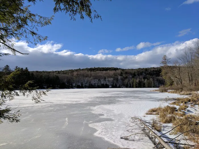 Half Moon Pond State Park Campground Picture 6
