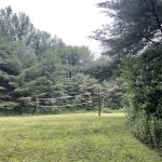 Half Moon Pond State Park Campground