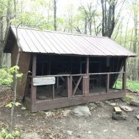 David Logan Shelter ico