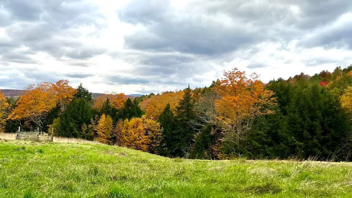 Four Springs Farm & Campground Picture 1