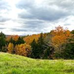 Four Springs Farm & Campground