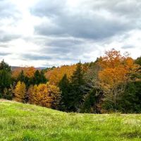 Four Springs Farm & Campground ico