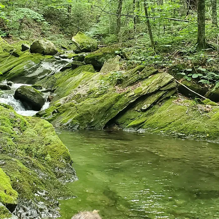 Chittenden Brook Campground Picture 1