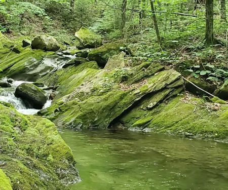 Chittenden Brook Campground