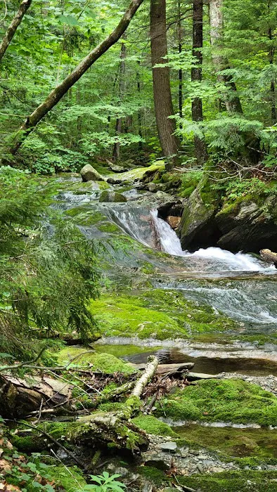 Chittenden Brook Campground Picture 6