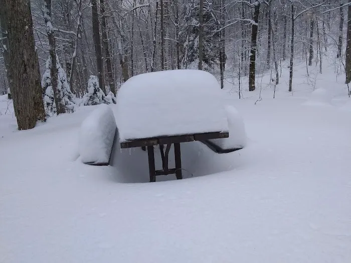Chittenden Brook Campground Picture 7