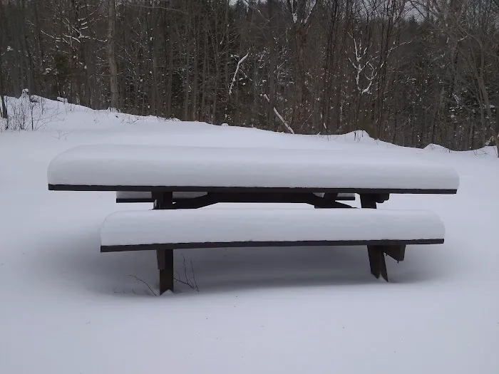 Chittenden Brook Campground Picture 2