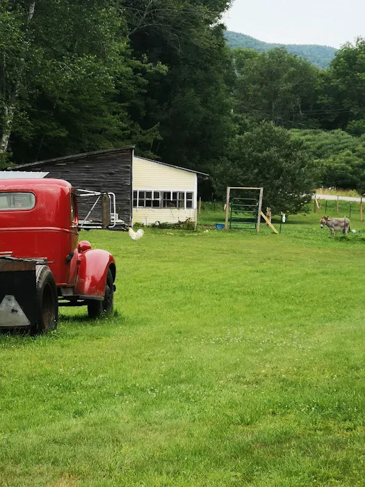 Little Emma's Sweet Retreat Picture 5