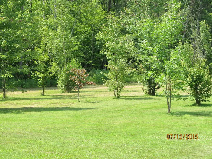 Country Village Campground Picture 10