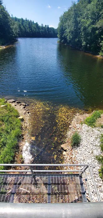 Silver Lake Campground Picture 3