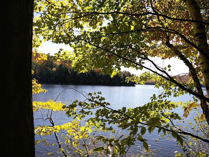 Silver Lake Campground Picture 2